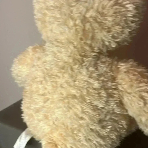 Build-a-Bear  Teddy Bear Plush On Tour Workshop Edition - Picture 3 of 4